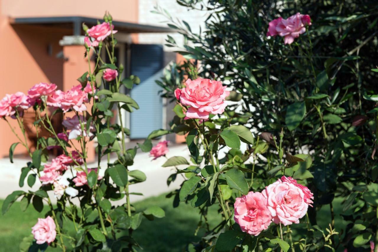Girasole Villa Limni  Luaran gambar